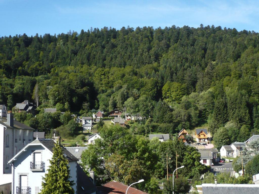 Residence Wilson Mont-Dore Pokój zdjęcie
